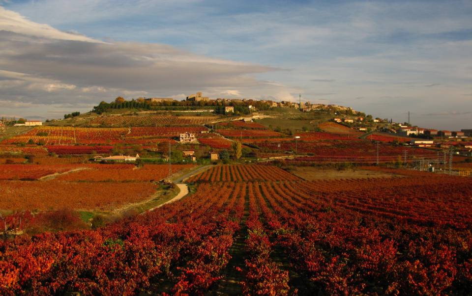 ENTORNO RIOJA ALAVESA V2 3