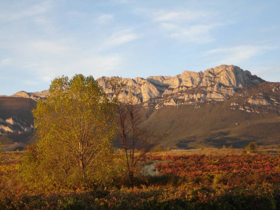 ENTORNO RIOJA ALAVESA V2 1